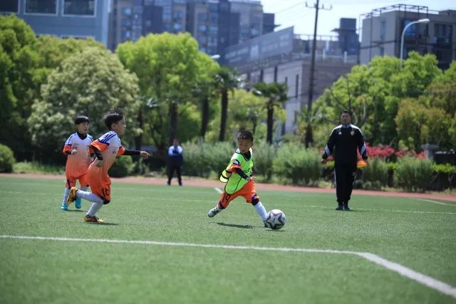 伊卡尔迪晒旺达视频：她闯入我家骚扰了我2小时